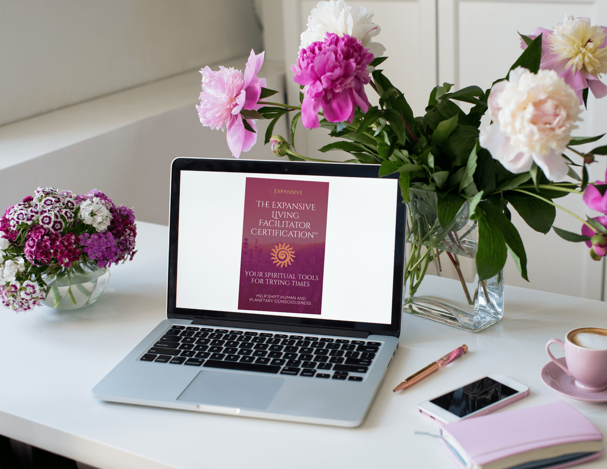 opening image of sales page